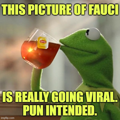 But That's None Of My Business Meme | THIS PICTURE OF FAUCI IS REALLY GOING VIRAL.
PUN INTENDED. | image tagged in memes,but that's none of my business,kermit the frog | made w/ Imgflip meme maker