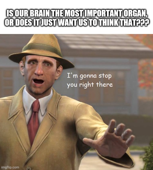 im gonna stop you right there | IS OUR BRAIN THE MOST IMPORTANT ORGAN, OR DOES IT JUST WANT US TO THINK THAT??? | image tagged in im gonna stop you right there | made w/ Imgflip meme maker