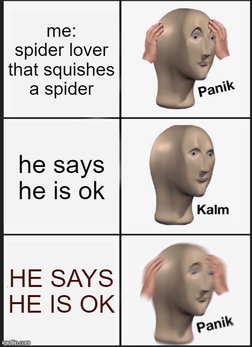Do spiders tak? | me: spider lover that squishes a spider; he says he is ok; HE SAYS HE IS OK | image tagged in memes,panik kalm panik | made w/ Imgflip meme maker