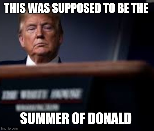 Winter of his discontent | THIS WAS SUPPOSED TO BE THE; SUMMER OF DONALD | image tagged in trump  traitor loser summer of donald,summer of donald | made w/ Imgflip meme maker