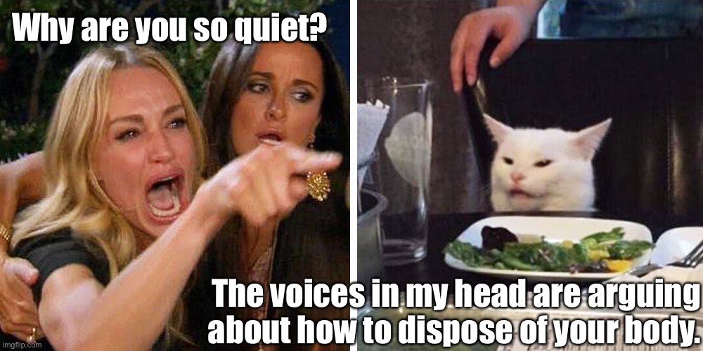 Woman yelling at cat | Why are you so quiet? The voices in my head are arguing about how to dispose of your body. | image tagged in smudge the cat | made w/ Imgflip meme maker