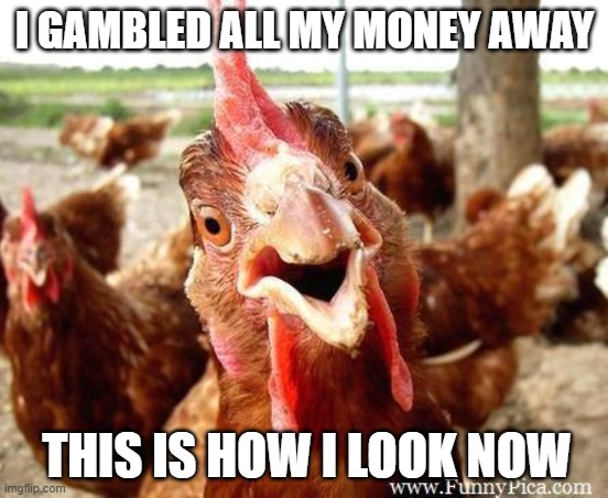 Chicken | I GAMBLED ALL MY MONEY AWAY; THIS IS HOW I LOOK NOW | image tagged in chicken | made w/ Imgflip meme maker