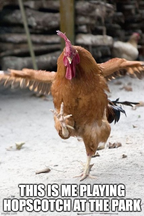 friday eve chicken | THIS IS ME PLAYING HOPSCOTCH AT THE PARK | image tagged in friday eve chicken | made w/ Imgflip meme maker