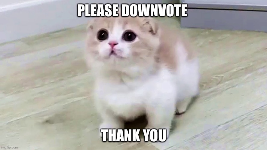Downvote plz | PLEASE DOWNVOTE; THANK YOU | image tagged in begging munchie | made w/ Imgflip meme maker