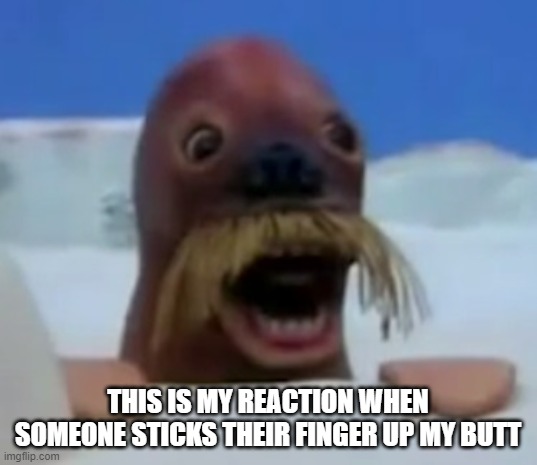 Walrus | THIS IS MY REACTION WHEN SOMEONE STICKS THEIR FINGER UP MY BUTT | image tagged in walrus | made w/ Imgflip meme maker