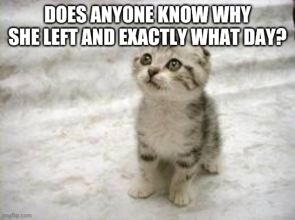 Sad Cat | DOES ANYONE KNOW WHY SHE LEFT AND EXACTLY WHAT DAY? | image tagged in memes,sad cat | made w/ Imgflip meme maker
