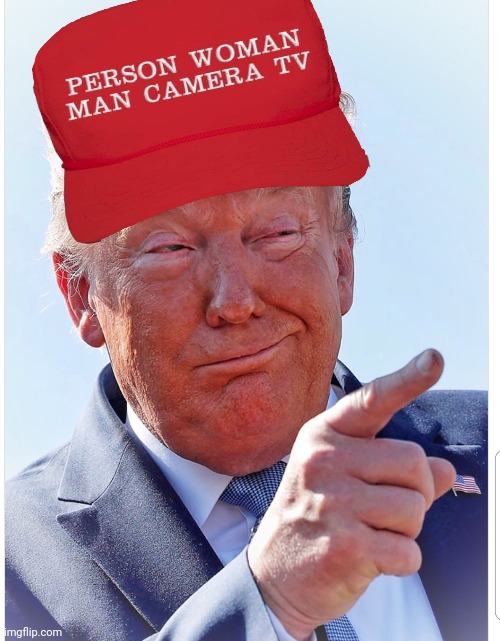 Trump pointing | image tagged in trump pointing | made w/ Imgflip meme maker
