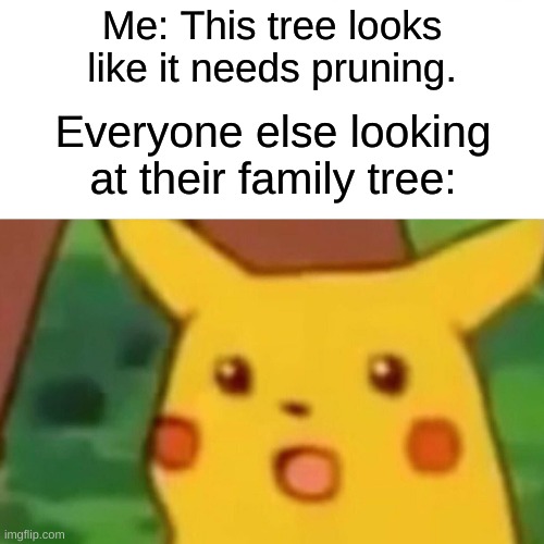 Hol' up | Me: This tree looks like it needs pruning. Everyone else looking at their family tree: | image tagged in memes,surprised pikachu | made w/ Imgflip meme maker