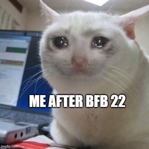 Crying cat | ME AFTER BFB 22 | image tagged in crying cat | made w/ Imgflip meme maker