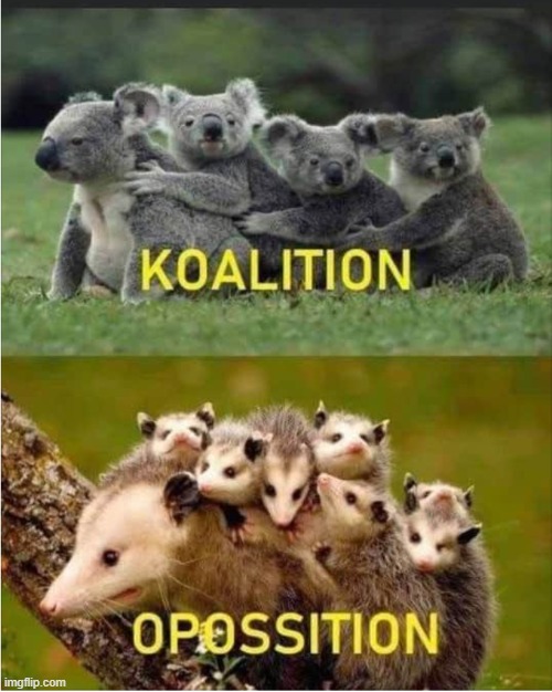 image tagged in koala,technicallythetruth | made w/ Imgflip meme maker