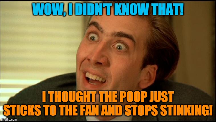 You Don't Say - Nicholas Cage | WOW, I DIDN'T KNOW THAT! I THOUGHT THE POOP JUST STICKS TO THE FAN AND STOPS STINKING! | image tagged in you don't say - nicholas cage | made w/ Imgflip meme maker