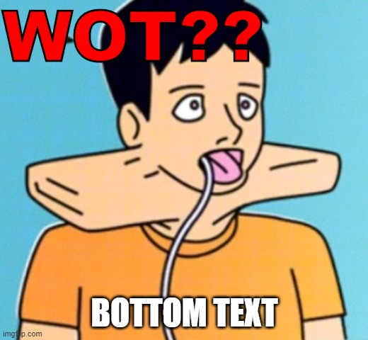 WOT?? BOTTOM TEXT | made w/ Imgflip meme maker