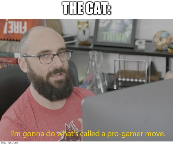 I'm gonna do what's called a pro-gamer move. | THE CAT: | image tagged in i'm gonna do what's called a pro-gamer move | made w/ Imgflip meme maker