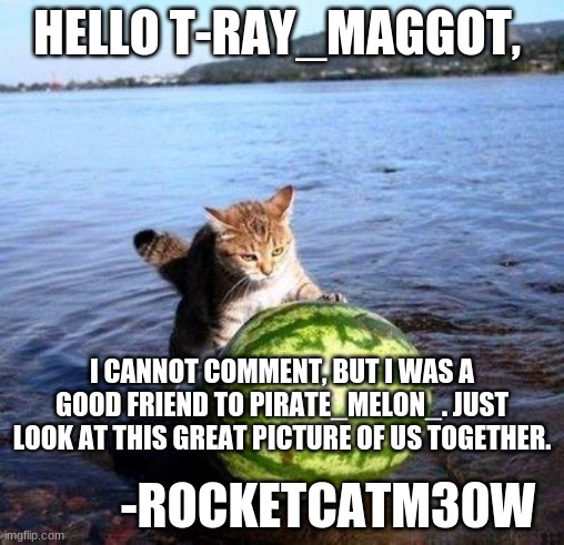 ? | HELLO T-RAY_MAGGOT, I CANNOT COMMENT, BUT I WAS A GOOD FRIEND TO PIRATE_MELON_. JUST LOOK AT THIS GREAT PICTURE OF US TOGETHER. -ROCKETCATM30W | image tagged in argument invalid watermelon cat | made w/ Imgflip meme maker