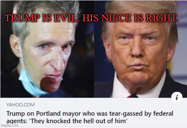 Trump is Evil. His Niece is right. | TRUMP IS EVIL. HIS NIECE IS RIGHT. | image tagged in donald trump,evil,election 2020 | made w/ Imgflip meme maker