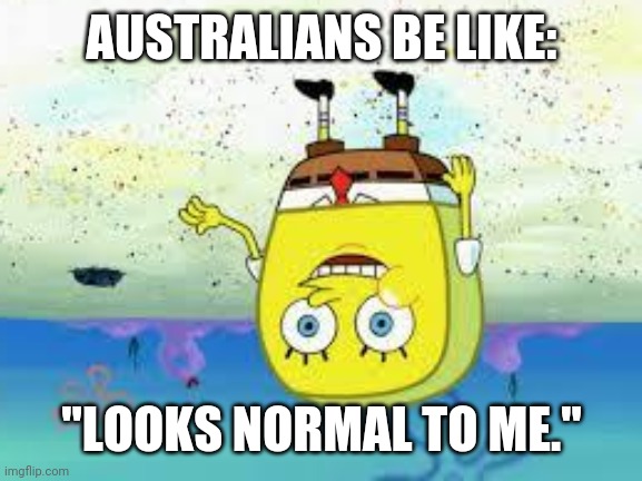 normal spongebob | AUSTRALIANS BE LIKE: "LOOKS NORMAL TO ME." | image tagged in normal spongebob | made w/ Imgflip meme maker