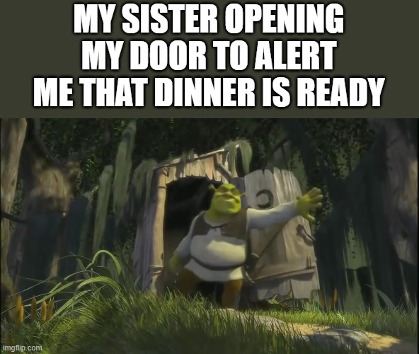 MY SISTER OPENING MY DOOR TO ALERT ME THAT DINNER IS READY | image tagged in memes,family,siblings | made w/ Imgflip meme maker