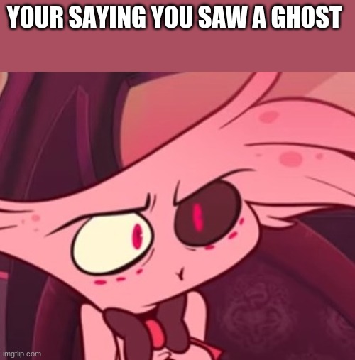 What | YOUR SAYING YOU SAW A GHOST | image tagged in what | made w/ Imgflip meme maker