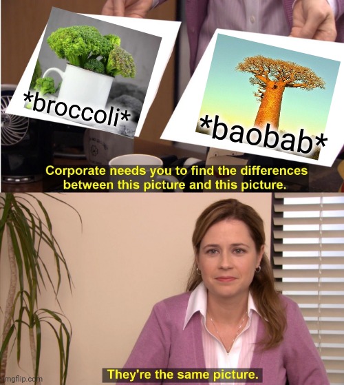 -Not fresh association but required years of drowning over memes. | *broccoli*; *baobab* | image tagged in memes,they're the same picture,creativity,trees,broccoli,south africa | made w/ Imgflip meme maker