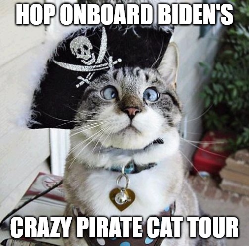 Why | HOP ONBOARD BIDEN'S; CRAZY PIRATE CAT TOUR | image tagged in memes,cats,fun,funny,funny memes,spangles | made w/ Imgflip meme maker