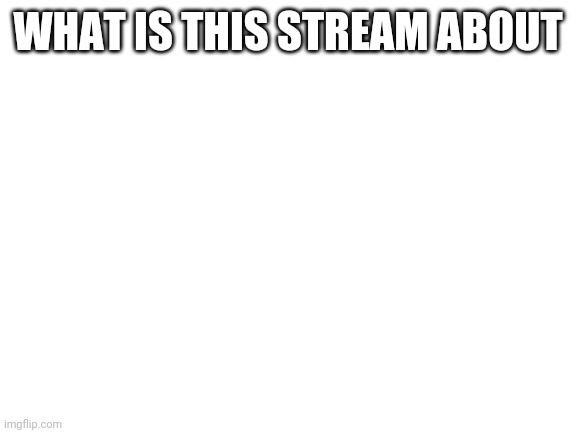 Blank White Template |  WHAT IS THIS STREAM ABOUT | image tagged in blank white template | made w/ Imgflip meme maker