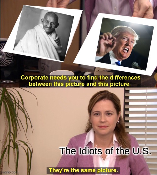 Politic these days | The Idiots of the U.S. | image tagged in memes,they're the same picture | made w/ Imgflip meme maker