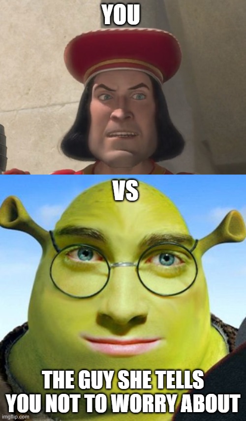 YOU; VS; THE GUY SHE TELLS YOU NOT TO WORRY ABOUT | image tagged in smart shrek,farquad | made w/ Imgflip meme maker