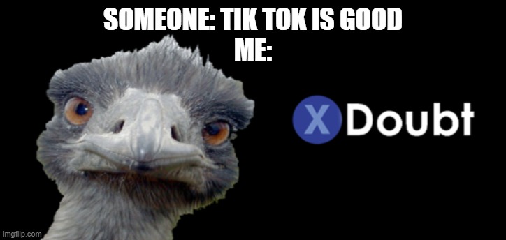 Emu Doubt | SOMEONE: TIK TOK IS GOOD
ME: | image tagged in emu doubt | made w/ Imgflip meme maker