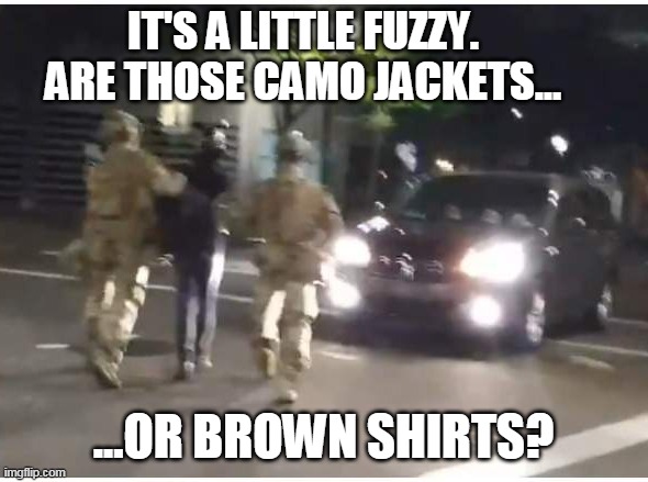 IT'S A LITTLE FUZZY. ARE THOSE CAMO JACKETS... ...OR BROWN SHIRTS? | made w/ Imgflip meme maker