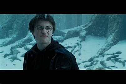 harry potter mad face Blank Meme Template