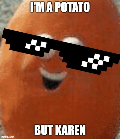 Karen took the kids | I'M A POTATO; BUT KAREN | image tagged in karen took the kids | made w/ Imgflip meme maker