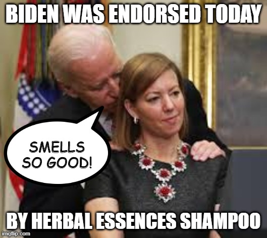 New Donor | BIDEN WAS ENDORSED TODAY; SMELLS SO GOOD! BY HERBAL ESSENCES SHAMPOO | image tagged in biden sniffs hair | made w/ Imgflip meme maker