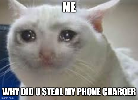 me when someone takes my charger and i'm not even using it | ME; WHY DID U STEAL MY PHONE CHARGER | image tagged in cats,phone,sad,crying | made w/ Imgflip meme maker