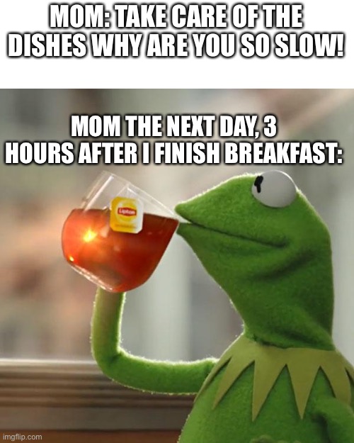 But That's None Of My Business | MOM: TAKE CARE OF THE DISHES WHY ARE YOU SO SLOW! MOM THE NEXT DAY, 3 HOURS AFTER I FINISH BREAKFAST: | image tagged in memes,but that's none of my business,kermit the frog | made w/ Imgflip meme maker