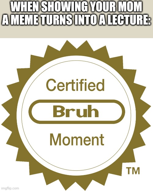 Certified bruh moment | WHEN SHOWING YOUR MOM A MEME TURNS INTO A LECTURE: | image tagged in certified bruh moment | made w/ Imgflip meme maker