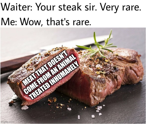 rare steak meme | MEAT THAT DOESN'T COME FROM AN ANIMAL TREATED INHUMANELY | image tagged in rare steak meme | made w/ Imgflip meme maker