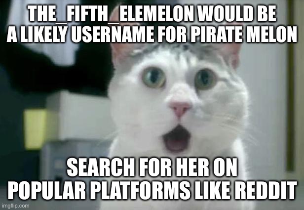 And deviantArt, tumblr, EVERYTHING | THE_FIFTH_ELEMELON WOULD BE A LIKELY USERNAME FOR PIRATE MELON; SEARCH FOR HER ON POPULAR PLATFORMS LIKE REDDIT | image tagged in memes,omg cat | made w/ Imgflip meme maker