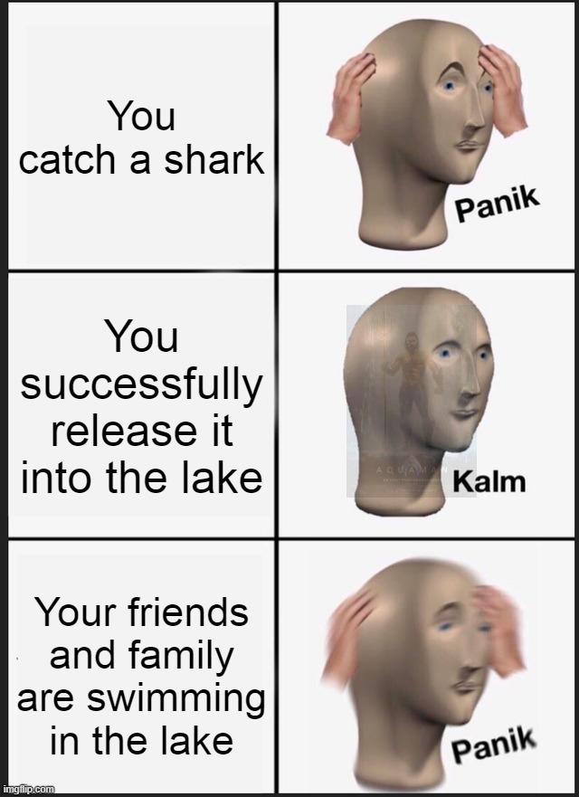 CAn you find the hidden picture | You catch a shark; You successfully release it into the lake; Your friends and family are swimming in the lake | image tagged in memes,panik kalm panik | made w/ Imgflip meme maker