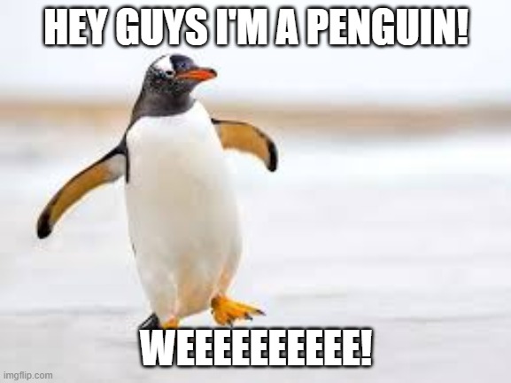 HEY GUYS I'M A PENGUIN! WEEEEEEEEEE! | made w/ Imgflip meme maker