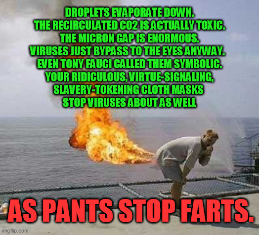 Can we finally just admit it's a giant fear-generating, politically intentioned, respiratory-weaking, sheep-manipulating scam? | DROPLETS EVAPORATE DOWN.
THE RECIRCULATED C02 IS ACTUALLY TOXIC.
THE MICRON GAP IS ENORMOUS.
VIRUSES JUST BYPASS TO THE EYES ANYWAY.  
EVEN TONY FAUCI CALLED THEM SYMBOLIC.
YOUR RIDICULOUS, VIRTUE-SIGNALING,
SLAVERY-TOKENING CLOTH MASKS 
STOP VIRUSES ABOUT AS WELL; AS PANTS STOP FARTS. | image tagged in coronavirus,covid-19,face masks,anthony fauci,political manipulation,democrats | made w/ Imgflip meme maker