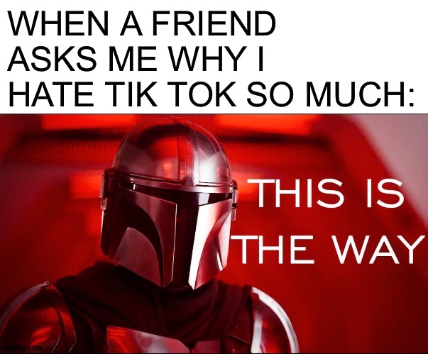 This is the way | WHEN A FRIEND ASKS ME WHY I HATE TIK TOK SO MUCH: | image tagged in this is the way,memes | made w/ Imgflip meme maker