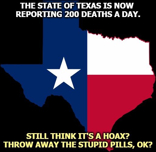 More than most countries. | THE STATE OF TEXAS IS NOW 
REPORTING 200 DEATHS A DAY. STILL THINK IT'S A HOAX?
THROW AWAY THE STUPID PILLS, OK? | image tagged in texas map,dead,coronavirus,covid,hoax,stupid | made w/ Imgflip meme maker