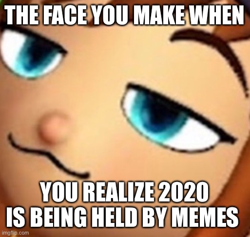 2020 sucks | THE FACE YOU MAKE WHEN; YOU REALIZE 2020 IS BEING HELD BY MEMES | image tagged in fun | made w/ Imgflip meme maker