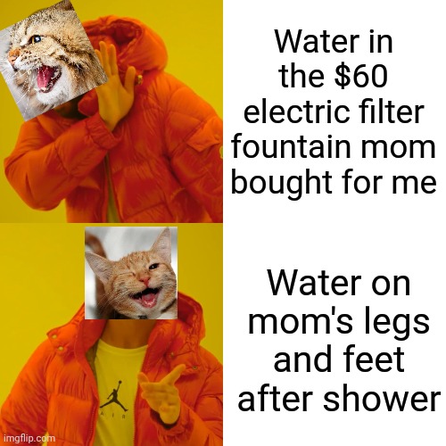 My actual car | Water in the $60 electric filter fountain mom bought for me; Water on mom's legs and feet after shower | image tagged in memes,drake hotline bling | made w/ Imgflip meme maker