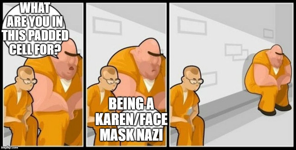 Dedicated to the Karen who had a complete melt down that I wasn't wearing a mask! | WHAT ARE YOU IN THIS PADDED CELL FOR? BEING A KAREN/FACE MASK NAZI | image tagged in what are you in for,karen,nazi,face mask,freaking out | made w/ Imgflip meme maker