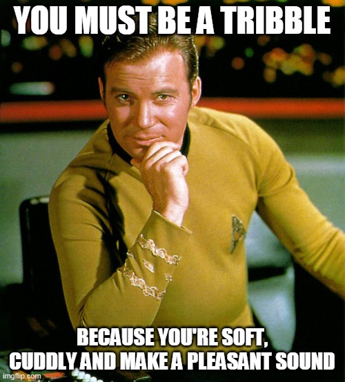 captain kirk | YOU MUST BE A TRIBBLE BECAUSE YOU'RE SOFT, CUDDLY AND MAKE A PLEASANT SOUND | image tagged in captain kirk | made w/ Imgflip meme maker