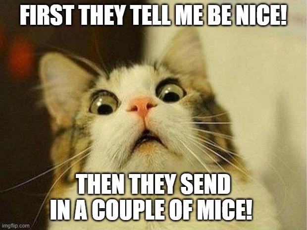 Nice Kitty! | FIRST THEY TELL ME BE NICE! THEN THEY SEND IN A COUPLE OF MICE! | image tagged in memes,scared cat,be nice,mice | made w/ Imgflip meme maker