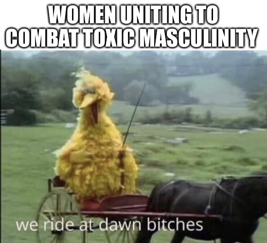 We ride at dawn bitches | WOMEN UNITING TO COMBAT TOXIC MASCULINITY | image tagged in we ride at dawn bitches | made w/ Imgflip meme maker