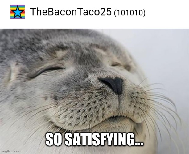 SO SATISFYING... | image tagged in memes,satisfied seal | made w/ Imgflip meme maker