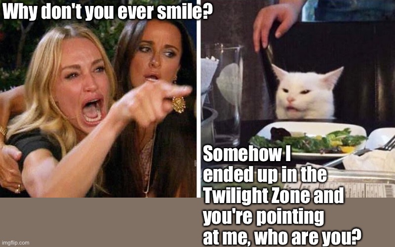 Smudge the cat | Why don't you ever smile? Somehow I ended up in the Twilight Zone and you're pointing at me, who are you? | image tagged in smudge the cat | made w/ Imgflip meme maker